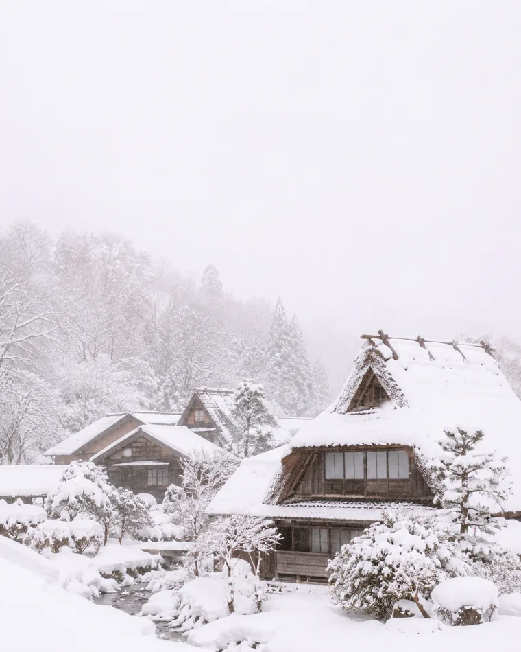 Casas tradicionais japonesas de telhado íngreme cobertas de neve, numa manhã de nevoeiro