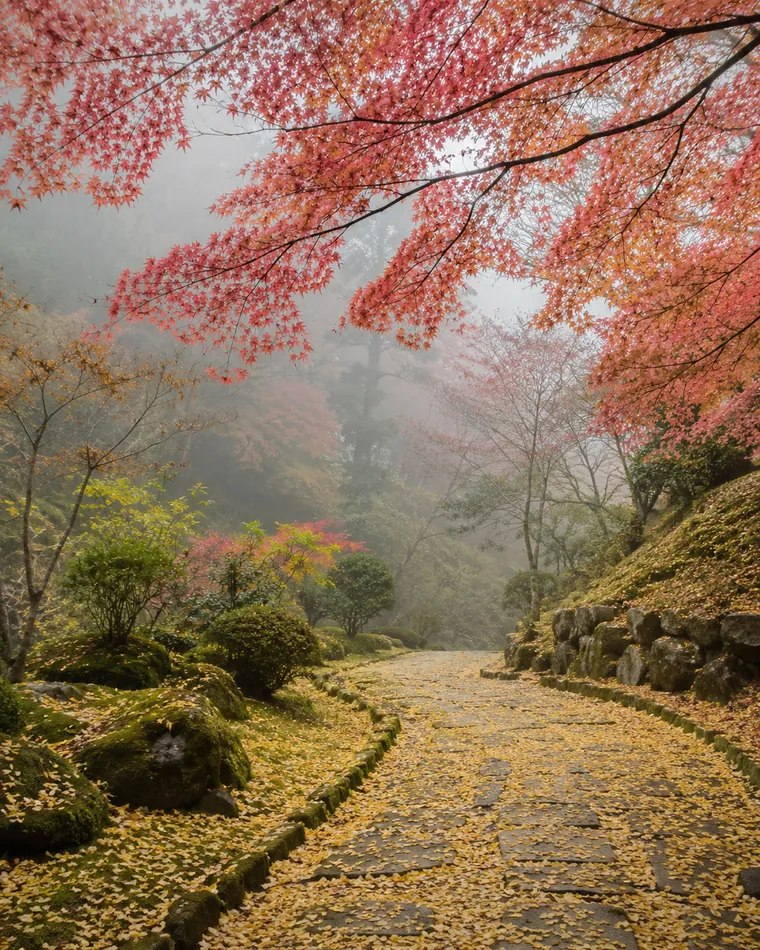 Bordos japoneses vermelhos e um tapete de folhas douradas de ginkgo